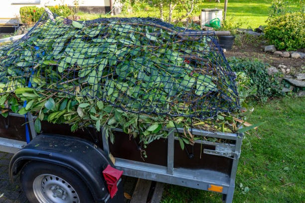 Best Furniture Removal  in North Bend, WA